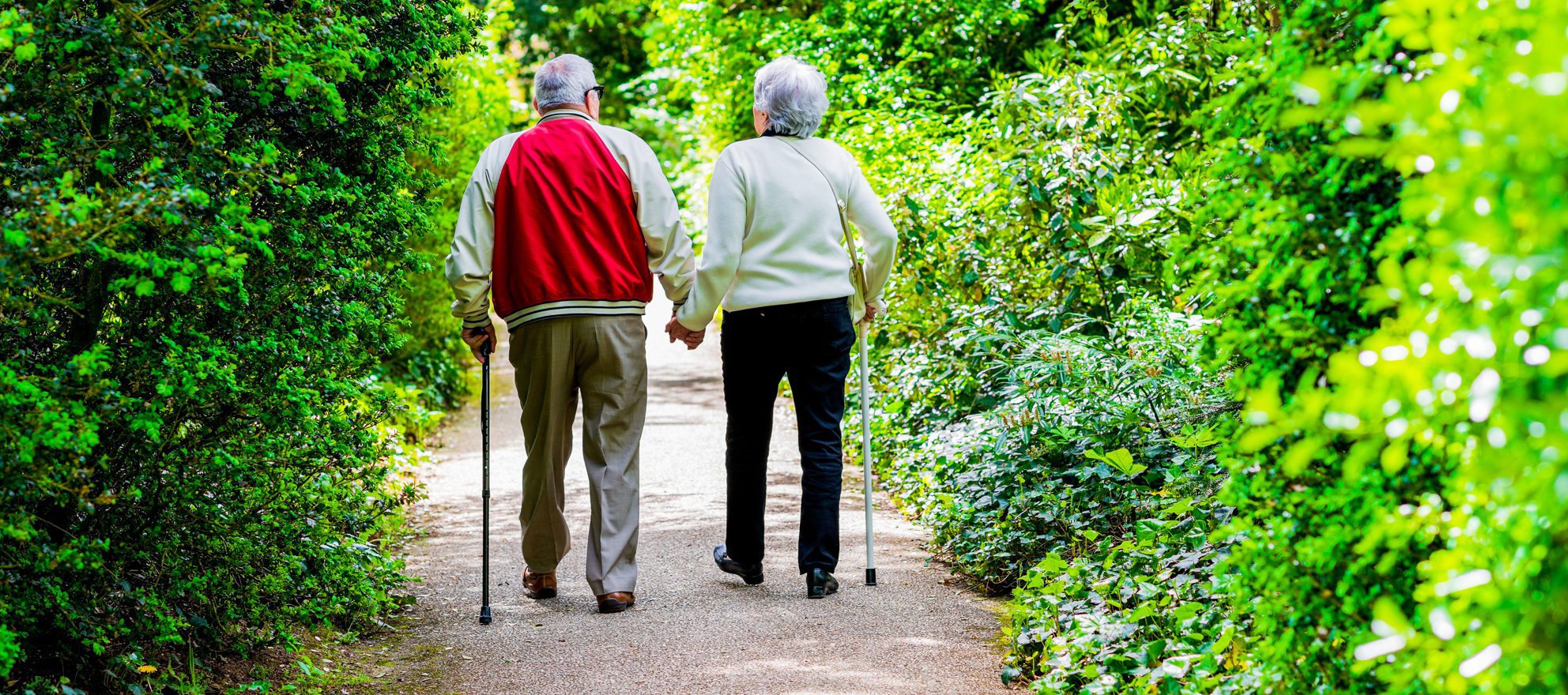 Photo of 7 senior housing options every real estate agent needs to know