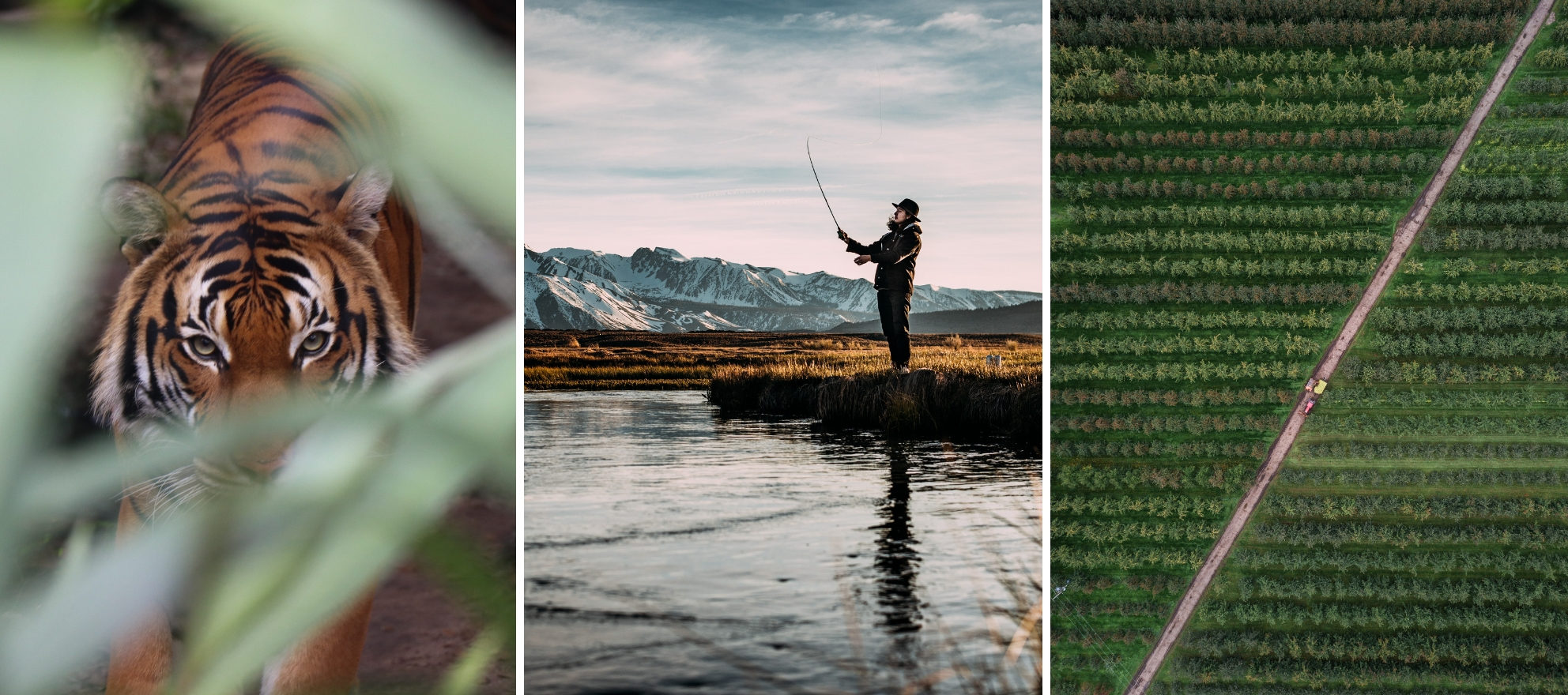 Photo of 9 strategies for hunting, fishing and farming in a shifting market